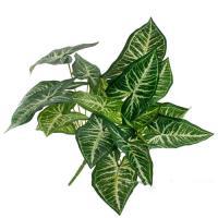Растение искусственное "Сингониум" , 42 см