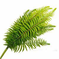 Растение искусственное (пластик), 52 см