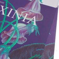 Набор дизайнерской бумаги "Gloxinia" 110г/м2, 54х54 см (10шт)