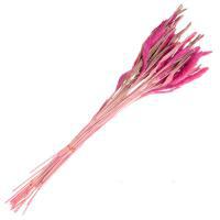 Букет из сухих колосовых культур "Могар", H60 см