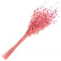 Букет из сухих колосовых культур "Лён", H40 см