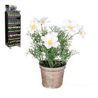 Цветок искусственный в кашпо Незабудка (пластик), D10xH25 см