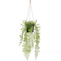 Растение искусственное Адиантум ампельное в кашпо (пластик), 147 см