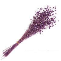 Букет из сухих колосовых культур "Лён", H40 см