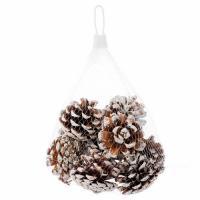 Набор шишек заснеженных, H1хD5-5 см, (200 гр)