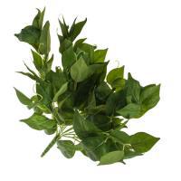 Растение искусственное (пластик), 42 см