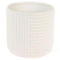 Кашпо (керамика), D10,7xH9,8 см