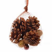 Набор шишек, желудей