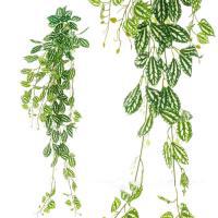 Искусственное растение "Плющ", 120 см