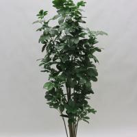 Дерево искусственное "Шеффлера",1022 листа, Н180 см