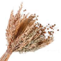 Букет из сухоцветов "Лен", H 48 см