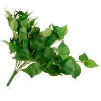 Растение искусственное (пластик), 40 см