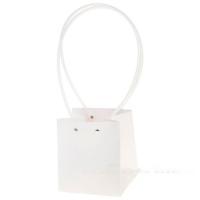 Набор сумок с ламинацией (картон), 11,5x10,5xH13 см (10шт)