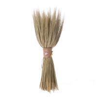Букет из сухоцветов "Рожь", H 44 см
