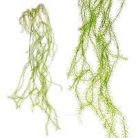 Искусственное растение "Папоротник", 170 см