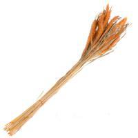 Букет из сухих колосовых культур "Могар", H60 см