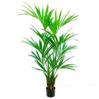 Дерево искусственное "Пальма Кентия (Ховея)",10 веток, 164 листа, Н150 см