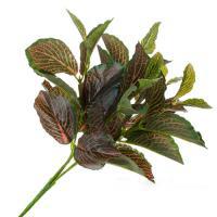 Растение искусственное "Фиттония" , 35 см