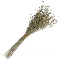 Букет из сухих колосовых культур "Лён", H40 см