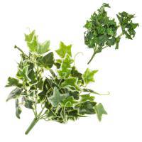 Растение искусственное (пластик), 35 см, в асс.