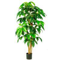 Дерево искусственное "Шеффлера", 227 листьев, Н121 см