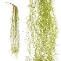 Искусственное растение "Папоротник", 150 см