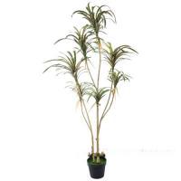 Дерево искусственное "Драцена Real touch" в кашпо, Н170 см