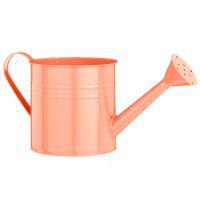 Лейка (металл), D14хН14 см