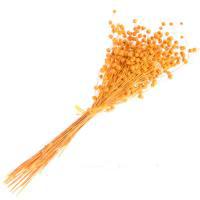 Букет из сухих колосовых культур "Лён", H40 см