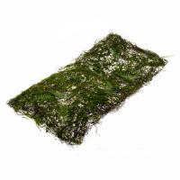 Искусственная панель "Самшит", 50x100 см