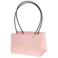 Набор сумок с ламинацией (картон), 22x10xH13 см (10шт)