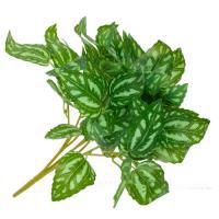 Растение искусственное "Фиттония" , 32 см