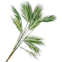 Ветка искусственная "Пальма", 120 см