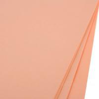 Набор фоамирана в листах 1 мм, 60х70 см, (10 шт)