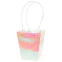 Набор сумок с ламинацией (картон), 11,5x17xH20 см (10шт)