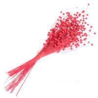 Букет из сухих колосовых культур "Лён", H40 см