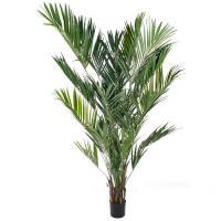 Дерево искусственное "Пальма Кентия (Ховея)",766 листьев, Н270 см