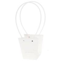 Набор сумок с ламинацией (картон), 12x8xH12,5 см (10шт)