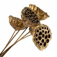 Набор лотоса на вставке, 50 см, (5 шт)