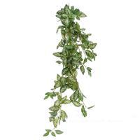 Растение искусственное "Сциндапсус Пиктус", 110 см