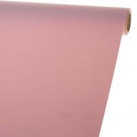 Пленка матовая Вьетнам, 50 смх10 м, 50mic