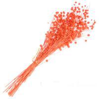 Букет из сухих колосовых культур "Лён", H40 см