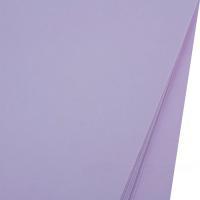 Набор фоамирана в листах 1 мм, 60х70 см, (10 шт)