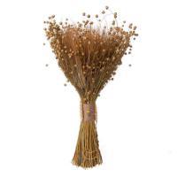 Букет из сухоцветов "Пшеница и лен", H 48 см