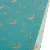 Набор матовой пленки "Moon Goddess", 58х58 см, (20 шт)