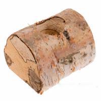 Кашпо из ствола, D10х12х5 см