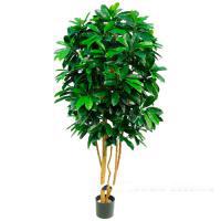 Дерево искусственное "Шеффлера-Леди",700 листьев, Н151 см