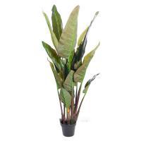 Искусственное растение "Стрелиция" в кашпо (пластик, полиэтилен), H135см