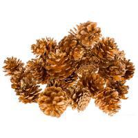 Набор шишек декоративных, D4-5 см, 250 гр