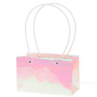 Набор сумок с ламинацией (картон), 22x10,5xH13,5 см (10шт)